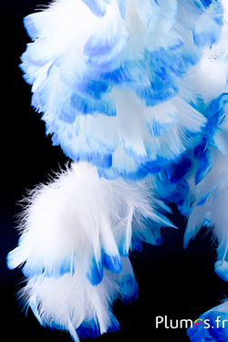 Frange dinde - long. plumes 10 cm - blanc pointe turquoise